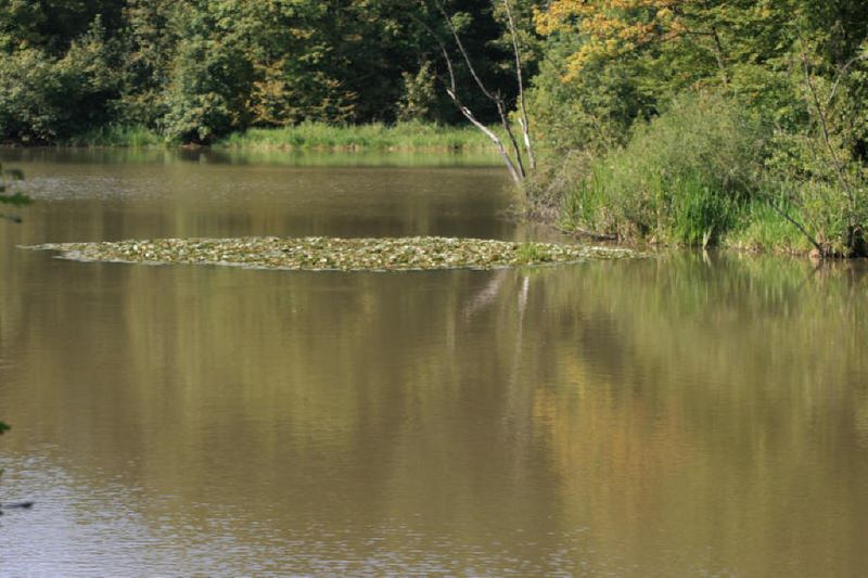 Der Hubbacherweiher